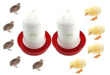 Greenrock Chick & Quail all Birds Food Feeder & Drinker Combo 500 grams capacity Ground Bird Feeder (Pack of 2)