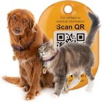 Smart Tags For Dogs