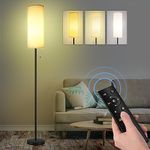 FUNNYBEHOM Floor Lamp, 9W 1000LM Floor Lamps for Living Room, Dimmable Standing Tall Lamp with 4 Color Temperatures, Remote Touch Control, 1 Hour Timer for Living Room Bedroom Office, Black