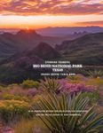 Big Bend Texas Travel Books