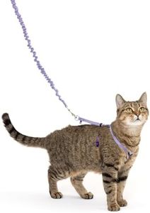 PetSafe Co