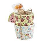 Mud Pie Fruity Floral Watermelon Ramekin Set; Ramekin 2" X 3" Dia | Toothpick 3 1/4"