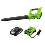 Greenworks 24V Cordless Jet Blower, 2.0 AH Battery Included