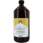 Davines Natural Tech Purifying Shampoo (For Scalp with Oily or Dry Dandruff) 1000ml