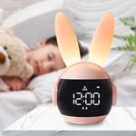 Night Light Digital Alarm Clock Battery Operated, Alarm Clock for Bedroom, Kids Alarm Clock, Adjustable Brightness, 12H/24H, Battery Operated, Snooze, Clock for Kids Bedroom, Small Travel Clock