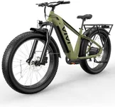 Vivi ACE01 Electric Bike for Adults