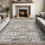 DEXI Area Rug 4x6, Washable Rugs Living Room Dining Room Bedroom Bedside, Non-Shedding Low-Pile Shag Soft Large Carpet Mat for Inside Floor, Brwon Grey