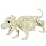 AOFOX Halloween Puppy Skeleton Plas