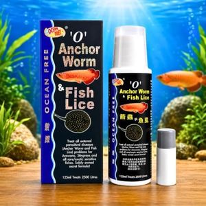 Ocean Free