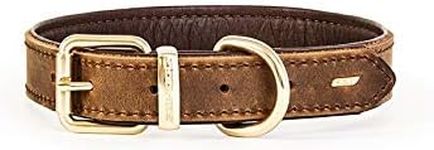 EzyDog Oxford Leather Dog Collar - Natural Designer Leather Dog Accessories, Hard Wearing, Padded Lining, Brushed Metal Hardware (M, Brown)