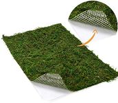 Byher Dried Moss Mat for Wedding Birthday Party Fairy Garden Decorations, Dark Green (Green - 14" X 9")