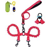 U-picks Dual Dog Leash Double Dog Leash360° Swivel No Tangle Double Dog Walking & Training Leash Comfortable Shock Absorbing Reflective Bungee for Two Dogs with waste bag dispenser and dog training clicker