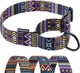 CollarDirect Martingale Collars for Dogs Heavy Duty Tribal Pattern Adjustable Soft Safety Training Nylon Wide Pet Collar Medium Large (Pattern 2, M Neck Size 12"-17")