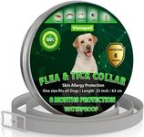 Natural Flea Treatment for Dogs – 8