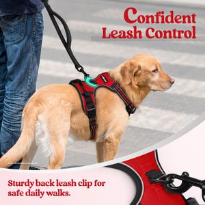rabbitgoo Large Dog Harness – Adjustable No-Pull, Red