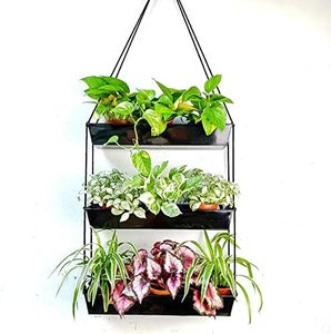 LaLaGreen Wall Planters - 16 Inch Wall Planters for Indoor Plants, 3 Tier Galvanized Succulent Wall Mounted Planters, Metal Boho Window Herb Garden, Rectangle Hanging Vertical Shelf Shower Plant Pot