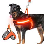 Ayaseen Light Up Dog Harness-Led Dog Harness Rechargeable Lighted Dog Harness for Night Walking,No Escapes,Adjustable Glow Red Light Vest Soft Harness Super Bright(Orange,M)