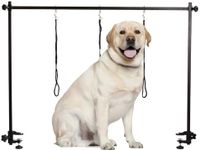 Qiwey H-Shape Pet Grooming Arm with Clamp Dog Grooming Loop Noose, Heavy Duty Aluminum Alloy Frame with 35.4’’Adjustable Height and 35.4’’ ~ 47.2’’ Adjustable Width