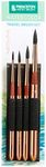 Princeton Neptune Fine Art Watercolours Brushes Pro Set, Synthetic Squirrel, 4 Piece Travel Brush Set, Short Handle, Ideal for Professionals & Students