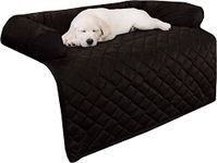 Couch Cover For Dog Pee