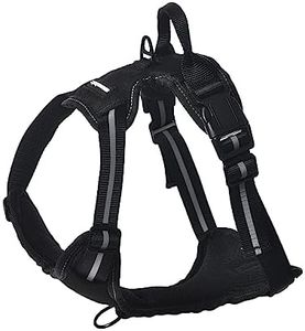 Amazon Basics - Harnais pour chien sans traction, réglable et rembourré avec bandes réfléchissantes, Noir, Taille M