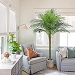 FLOWORLD Palm Tree Artificial Tropi