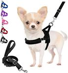 Eyein No Pull Small Dog Harness & Lead, Heavy Duty Easy for Walk Vest Harness Soft Padded Reflective Adjustable Puppy Harness Anti-Twist Pet Lead Quick Fit for Small Dog Cat Animal (XXS, Black)