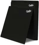 Carstens Records Heavy Duty Vinyl Album Dividers | 12" LP Separators with Tabs | Made in The USA | Music Organizer Tabs for Collectors