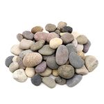 Foodie Puppies River Rocks Natural Multicolour Stones - (Monster Stone) for Painting, Aquarium/Fish Tank, DIY, Arts, Crafts, Home Decoration, Garden, and Swimming Pool (Small - 3Kg)