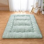 Aigbiot Japanese Futon Floor Mattress Foldable Tatami Mattress, Roll Up Sleeping Mat with Washable Cover for Adults,Child,Guest Twin Full Queen (Twin, Sage Green Plant)