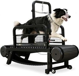 Dog Treadm
