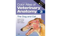 Color Atlas of Veterinary Anatomy, Volume 3, The Dog and Cat: The Dog & Cat