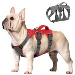 Beirui Escape Proof Dog Harness for Small Medium Dogs, Reflective Dog Harness No Pull with Padded Handle, Waterproof Dog Harness for Daily Walking Training (Red,Chest 10-16”)