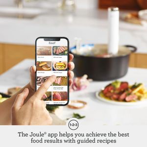 Breville Joule Turbo Sous Vide Precision Cooker – Fast Immersion Circulator