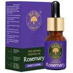 Old Tree Rosemary Essential Oil for Hair Growth for Women & Men (15ml) - Pure and Natural Oil with Dropper for Skin, Body, Diffuser, Aroma Therapy & Relaxation