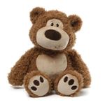 Gund Ramon Teddy Bear 18 Plush