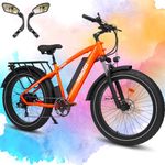 HAOQI Leopard Pro Electric Bike for Adults, 750W Brushless Motor Mountain Bike,48V 20AH Removabl Battery,26" x 4.0 Fat Tire Ebike with 28MPH, 9-Speed