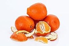 Kejora Fresh Honeybell Oranges (Min