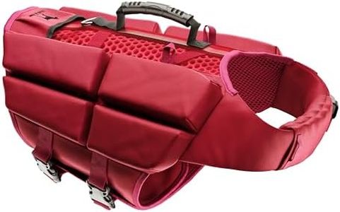 Noah & Paw Dog Life Jacket, Human Standards Lifejacket Design, Dog Life Vest for Swimming and Boating, 4X Foam Support for Max Floating, Breathable Mesh, Salvavidas para Perros, Sizes XS, S, M, L, XL