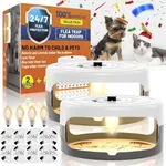 2 Pack Flea Traps for Inside Your H