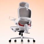 SIHOO B100 Ergonomic Office Chair, Comfy Desk Chair with Adaptive Dynamic Lumbar Support, Computer Chair with Extra Wide Headrest, Flip-Up Armrests, 90-135° Tilt Lock and Breathable Mesh Cushion