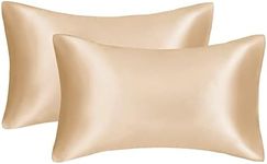 Satin Pillowcase, 2 Pack Silk Satin Pillowcases for Hair and Skin Queen Size Pillow Case with Zipper Closure (Standard, Champagne)