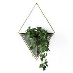 Umbra, Black/Brass Trigg Large Hanging Planter Wall Decor, for Displaying Small Plants, Pens and Pencils, Makeup Accessories