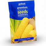 Jamieson Brothers® Sweetcorn Golden