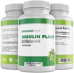 Insulin Plant Capsules (Costus Igneus) - Blood Sugar Support - 360 Veggie Caps (2 Month Supply) - ORGANOPLEX