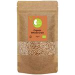 Organic Wheat Grain - Certified Organic - by Busy Beans Organic (1kg)