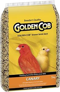 Golden Cob