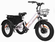 DWMEIGI 3 Wheel Electric Bike with 