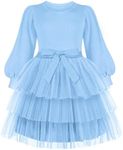 Arshiner Toddler Party Dress Princess Fairy Tutu Long Sleeve Winter Tulle Outfit Light Blue 3t