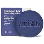Arista Purple Shampoo Bar | Solid S
